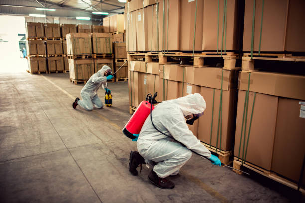 Best Pest Inspection Near Me  in Roseland, NJ