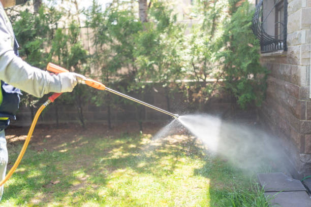 Best Rat Extermination Near Me  in Roseland, NJ