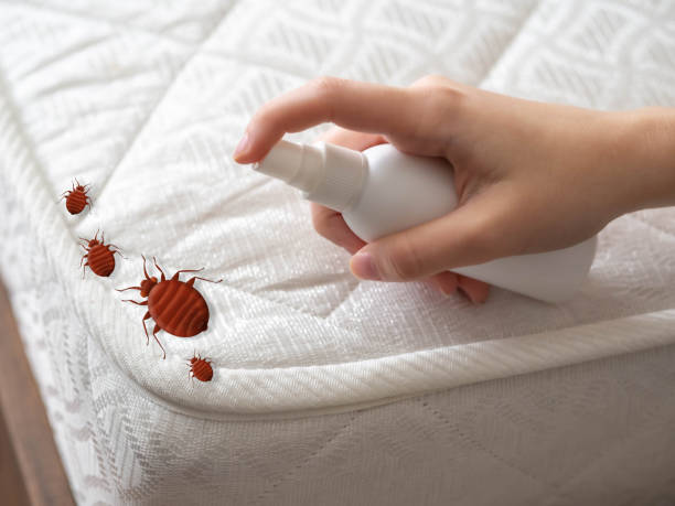 Best Local Pest Control Services  in Roseland, NJ