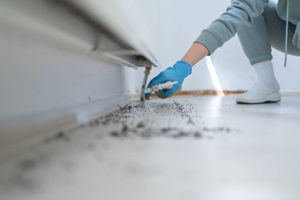 Trusted Roseland, NJ Pest Control Experts